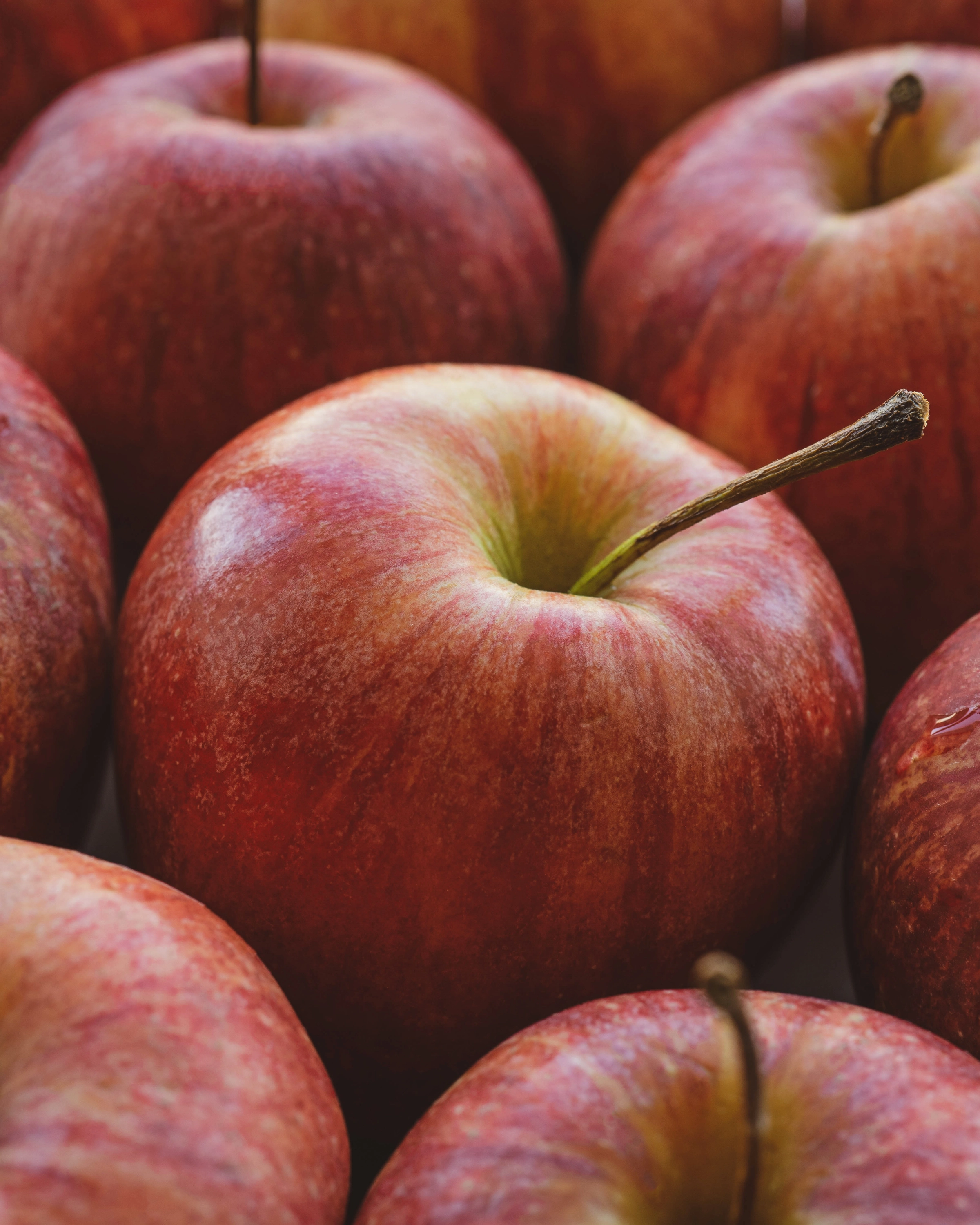 Macro Apples freelance food photographer